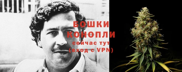 дмт Каменка