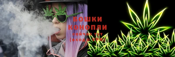 гидропоника Инта