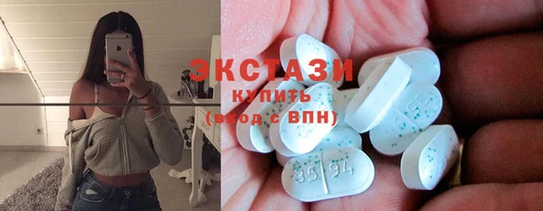 дмт Каменка