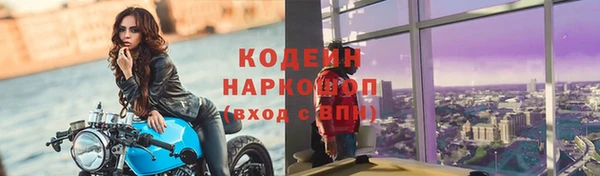 дмт Каменка