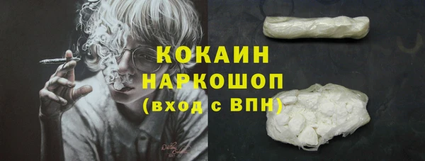 дмт Каменка