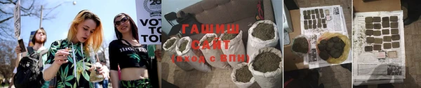 дмт Каменка