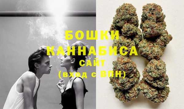 PSILOCYBIN Иннополис
