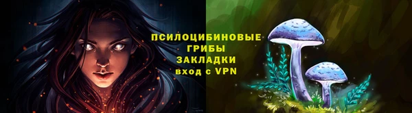 дмт Каменка