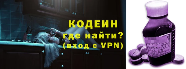 дмт Каменка