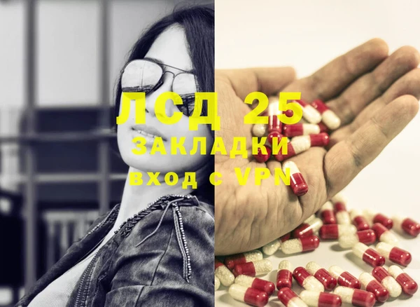 дмт Каменка