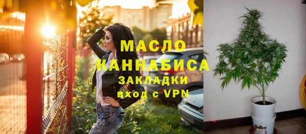 дмт Каменка