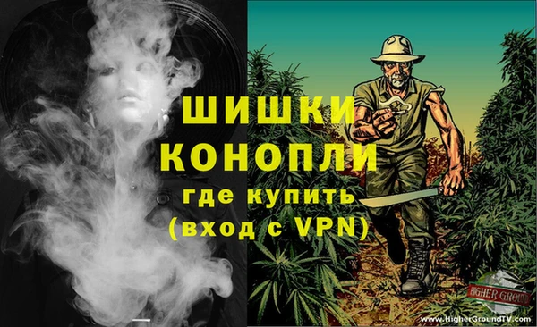 дживик Каменногорск