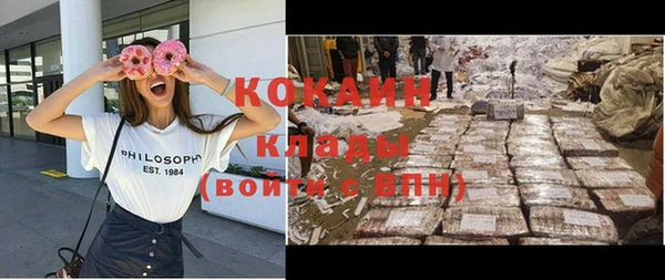 дживик Каменногорск