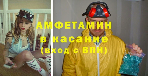 дмт Каменка