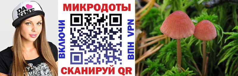 Псилоцибиновые грибы Magic Shrooms  даркнет сайт  Кимовск 