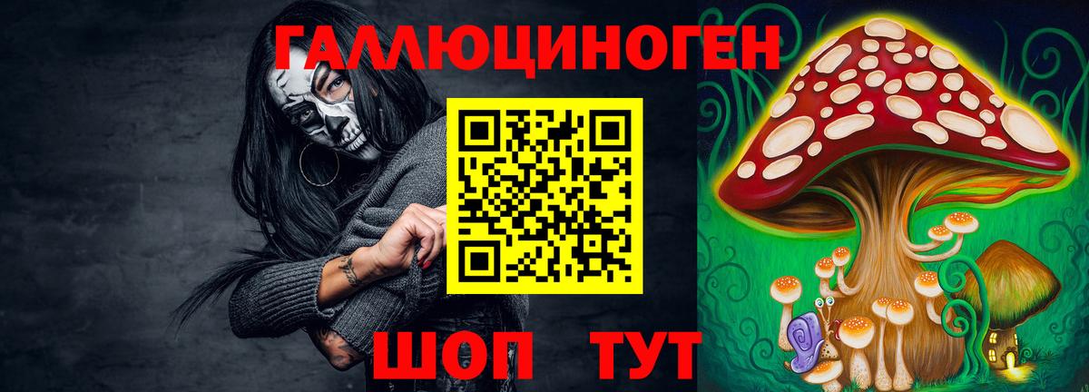 Псилоцибиновые грибы Cubensis Кимовск