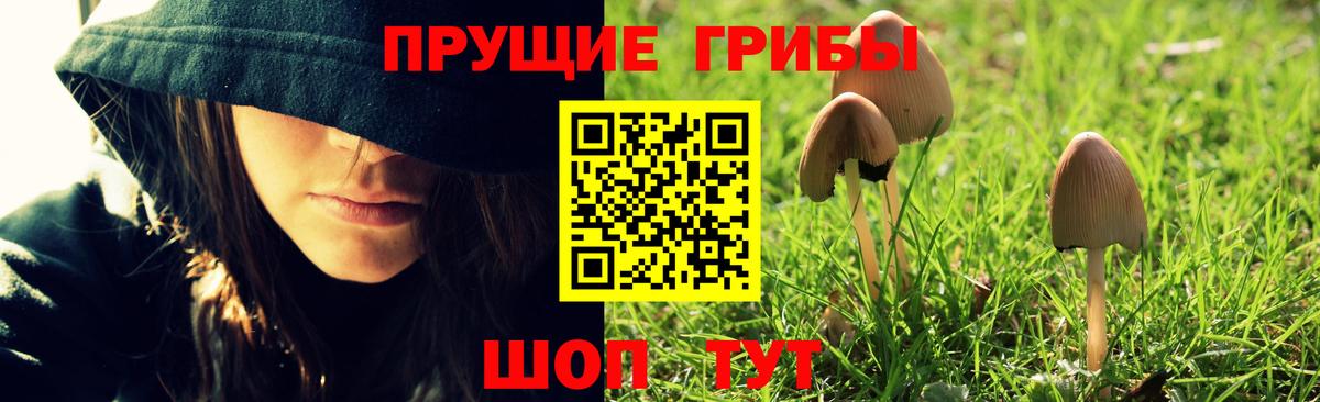 А ПВП СК кристаллы  COCAIN  Кимовск  Мефедрон кристаллы  ГАШИШ  МАРИХУАНА  Вход с VPN 
